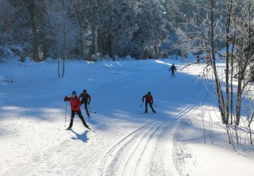 2019-skitag-grundschulen-21.jpg