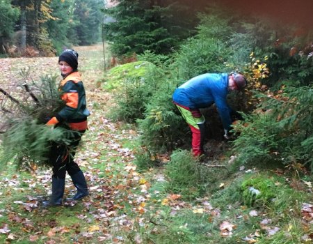 Vorbereiten der Loipen trotz starken Regenwetters durchgeführt