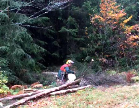 Vorbereiten der Loipen trotz starken Regenwetters durchgeführt