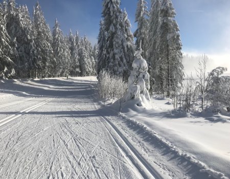 Skiloipe Martinskapelle