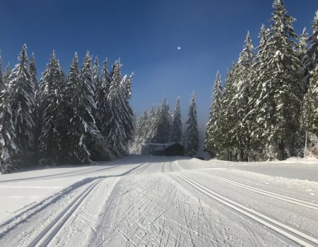 Skiloipe Martinskapelle